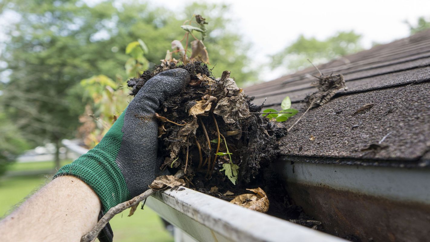 Gutter Cleaning Services Lawrenceville GA