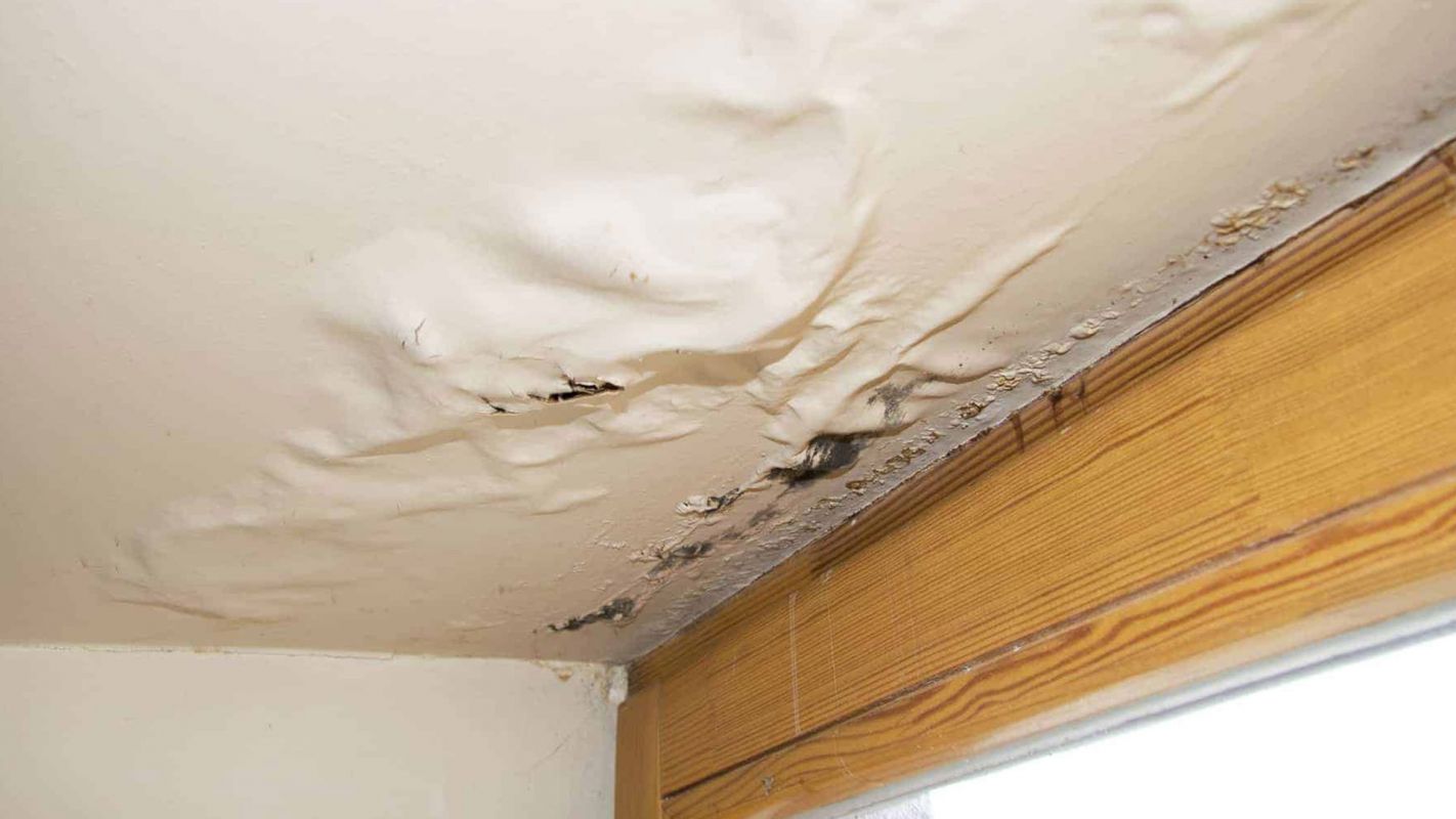 Ceiling Repair Services Haverford PA