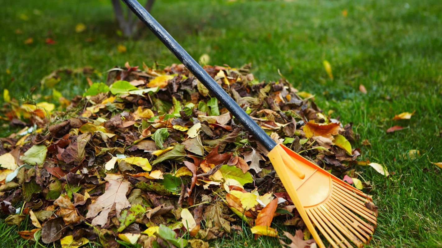 Yard Cleaning Services Mountain View CA