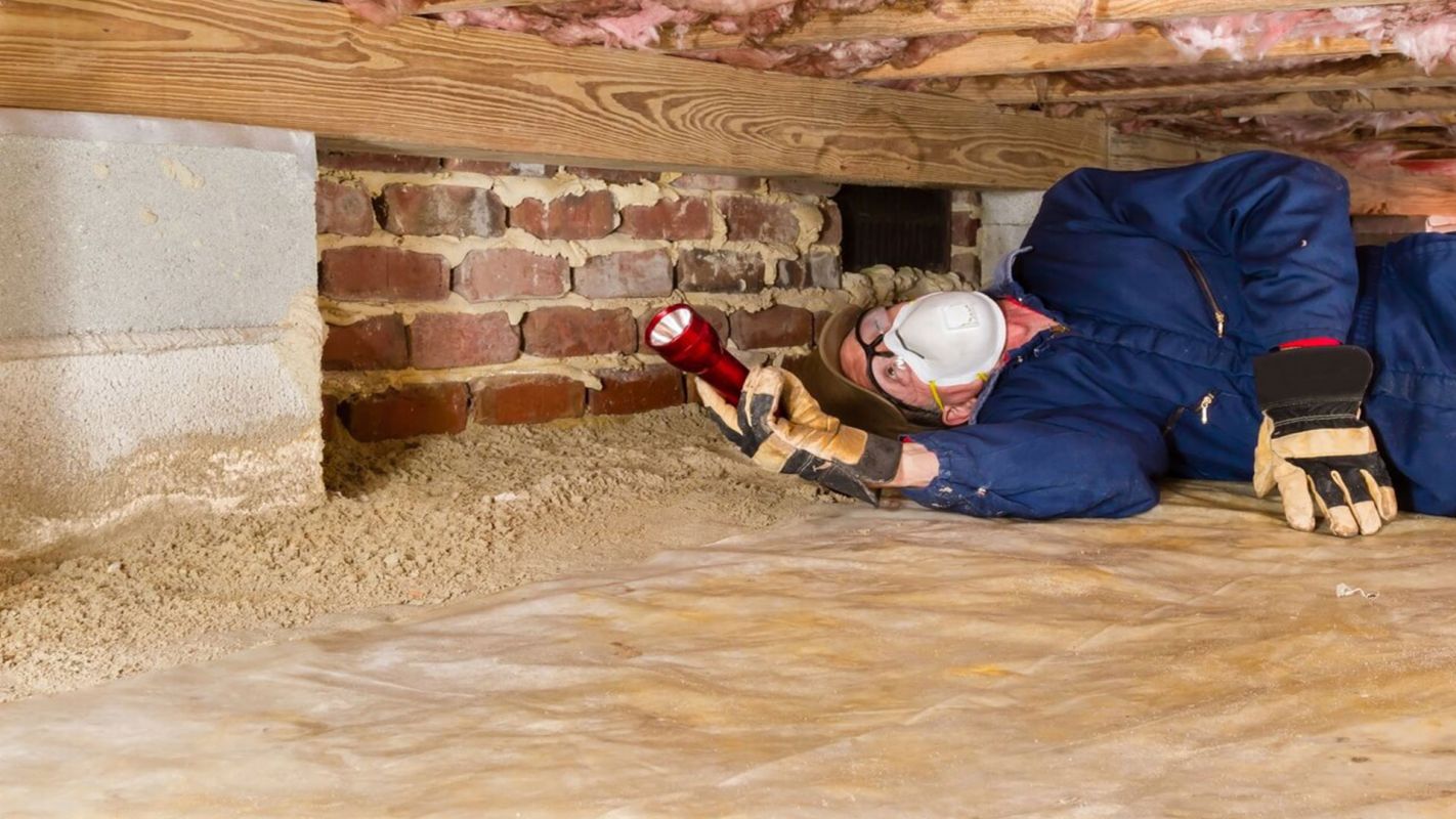 Termite Inspection Services Buford GA