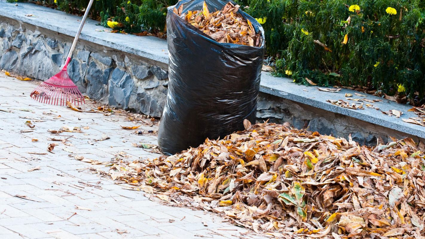 Yard Waste Removal Clermont FL