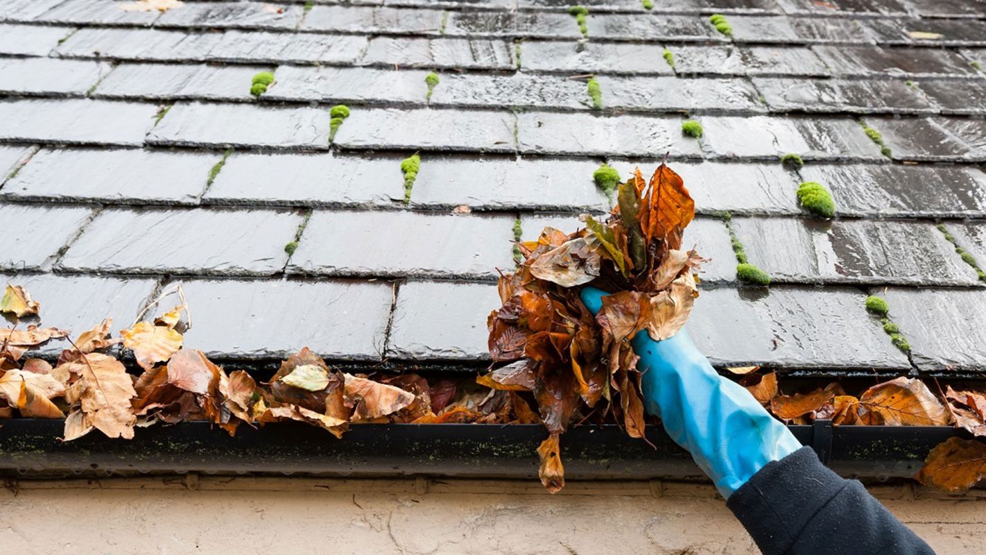 Gutter Cleaning Services Greenwich CT