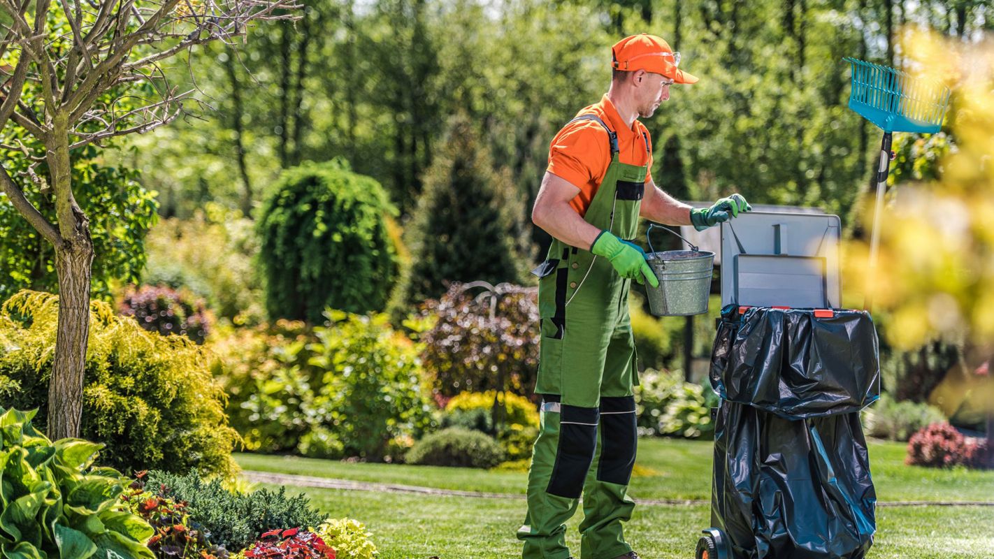 Yard Clean Up Renton WA