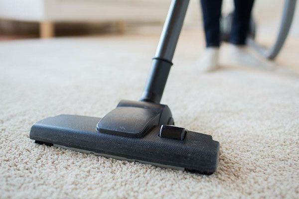 Nominal Rug Cleaning Cost Park City UT