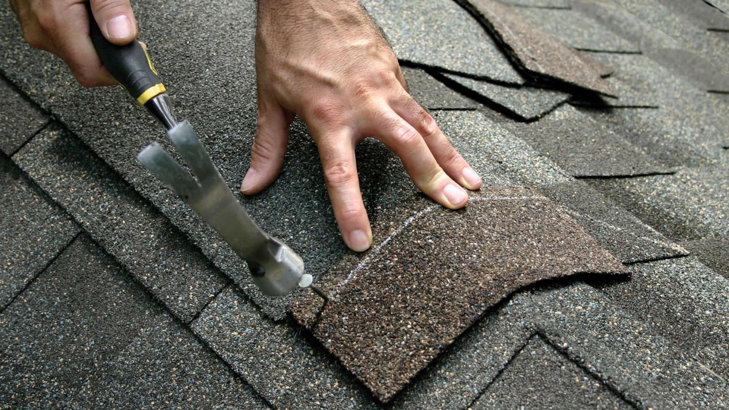 Shingle Roof Repair Parkville MD
