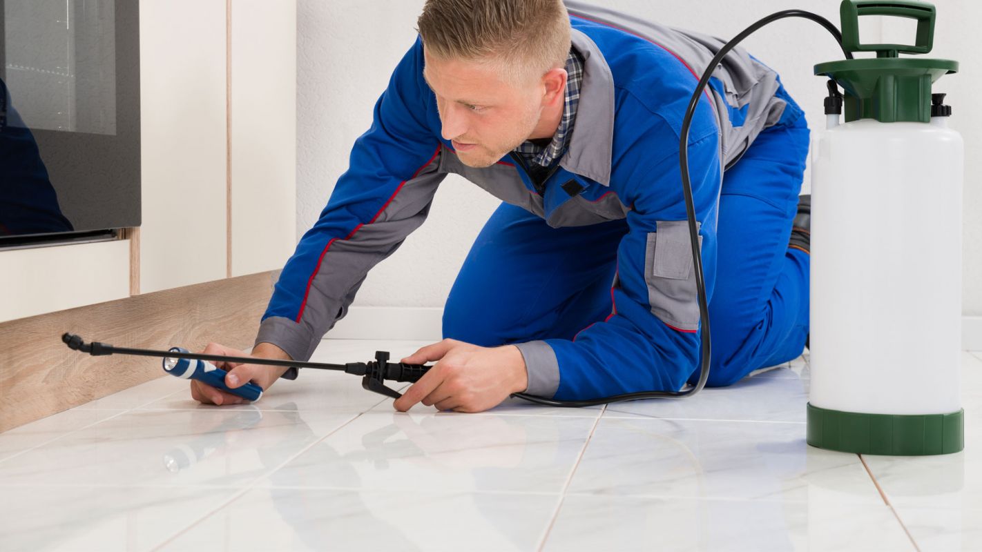 Pest Inspections Service Katonah NY