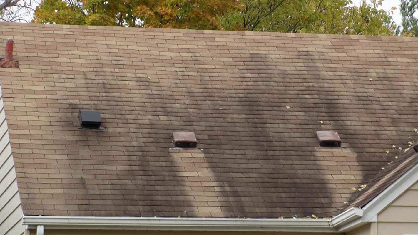 Roof Cleaning Haddonfield NJ