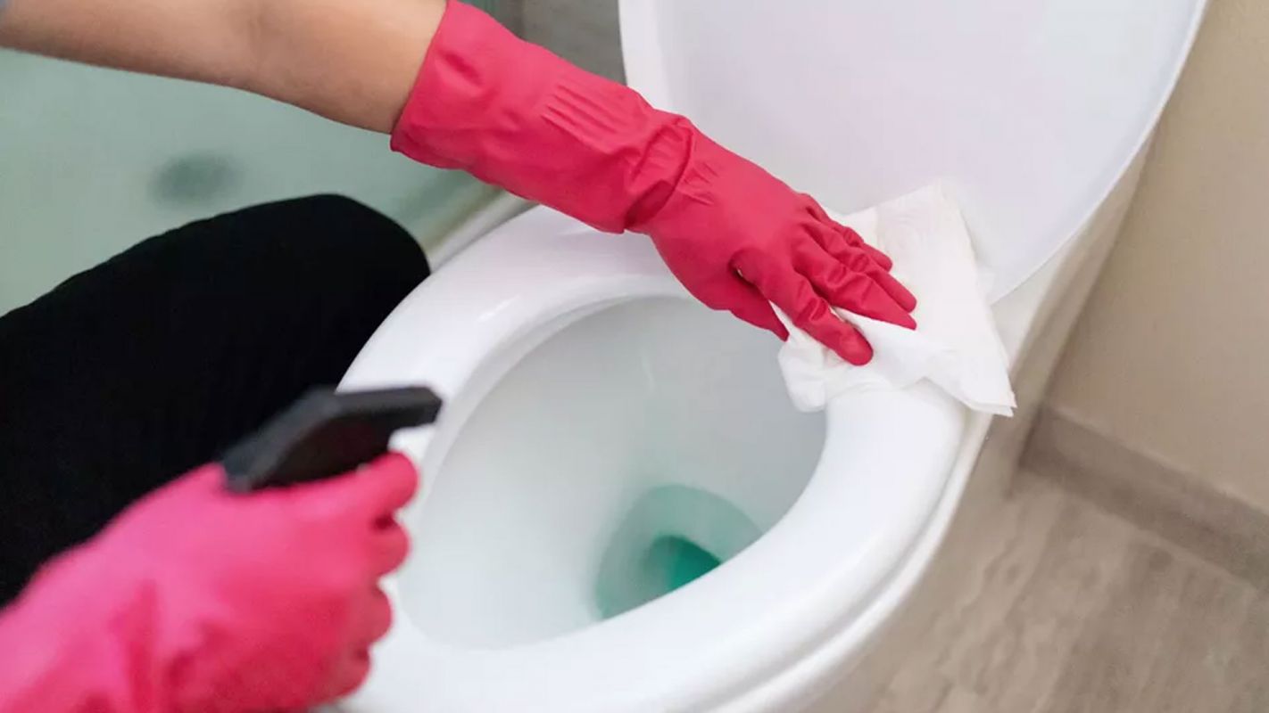 Toilet Cleaning Services Westchester County NY
