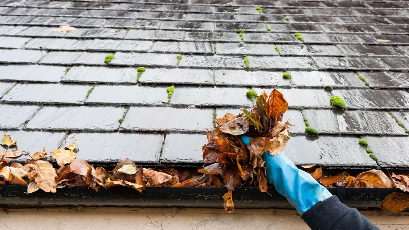 Gutter Cleaning Services Porterville CA