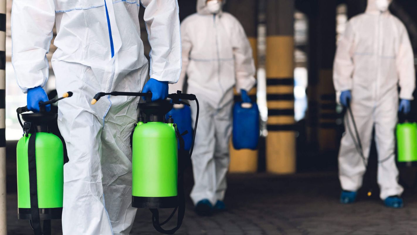 Best Disinfecting Services Glen Head NY