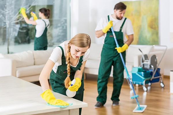 Professional Home Cleaning Camas WA