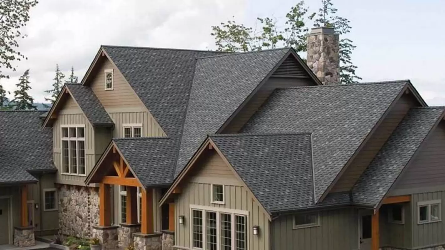 Shingle Roofing Services