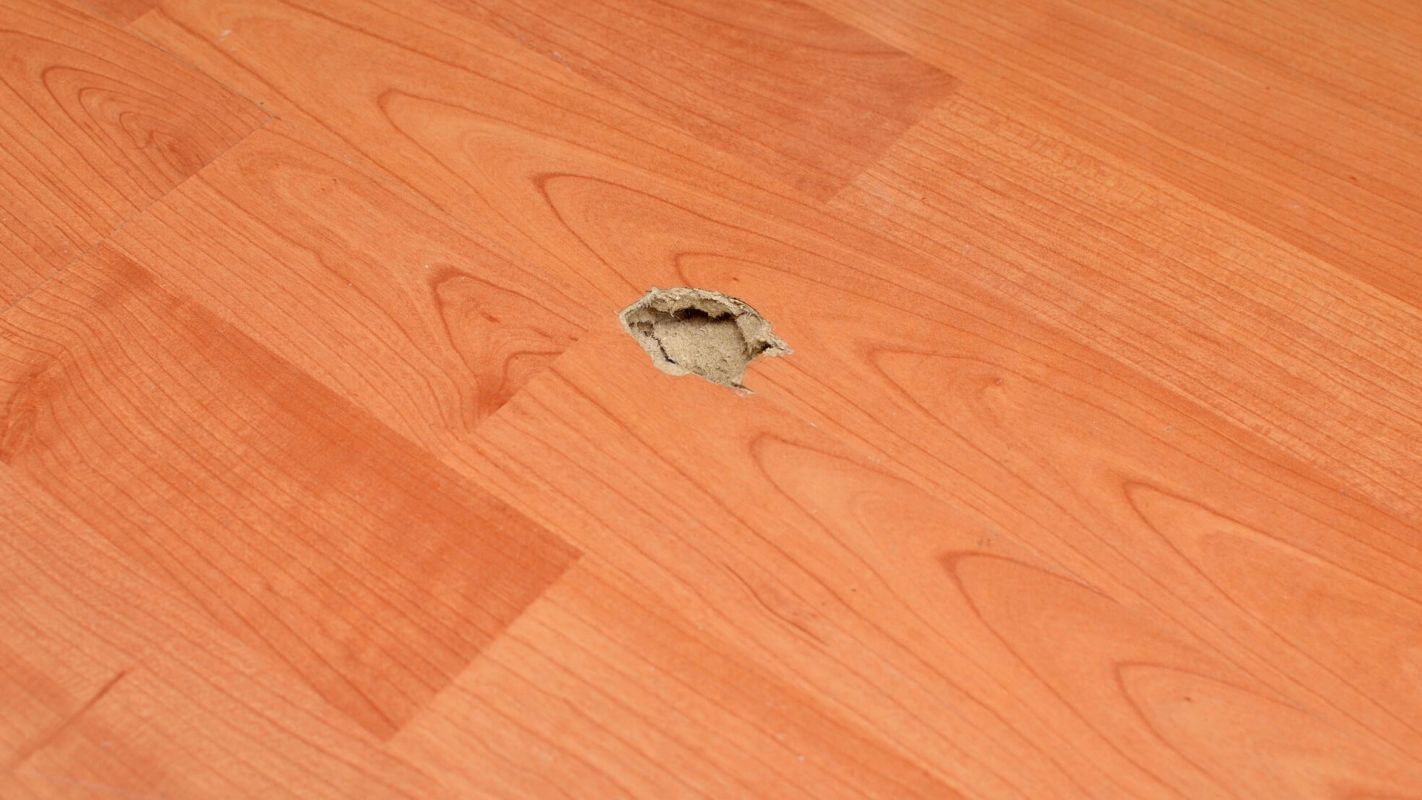 Laminate Floor Repairs Chula Vista CA