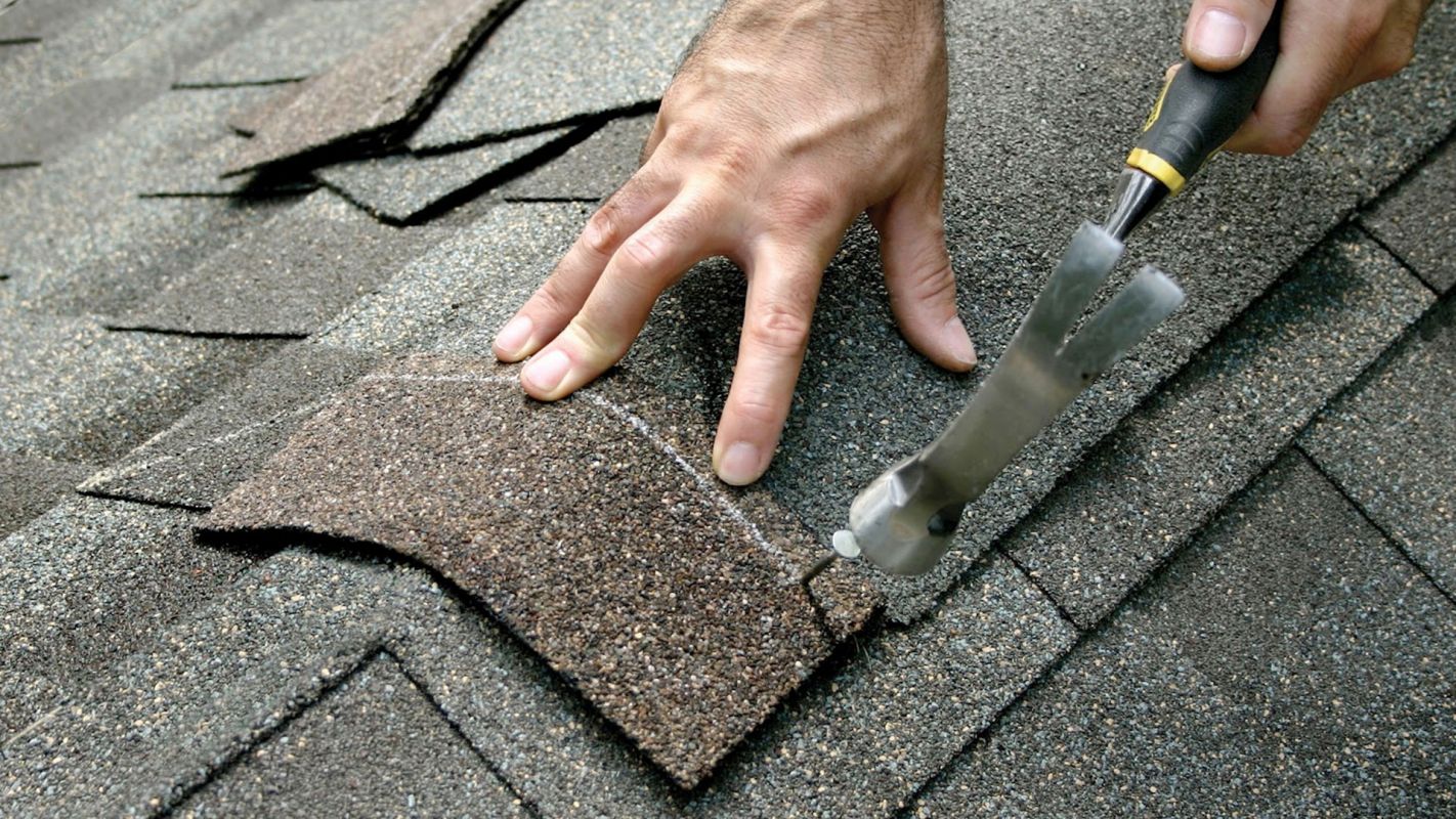 Diverse Roof Repair Services Solana Beach CA