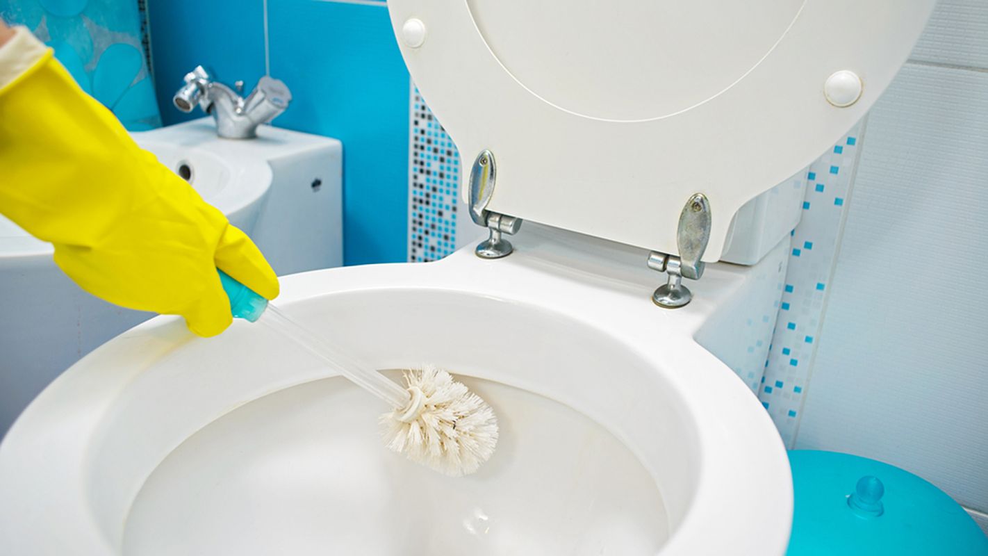 Toilet Cleaning The Bronx NY