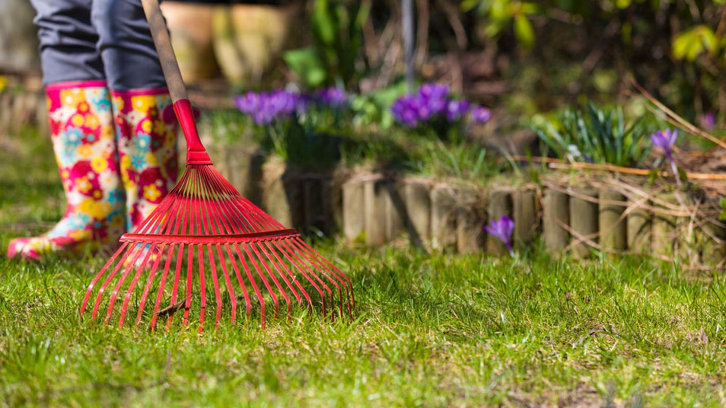 Spring Yard Cleanup Services Hamilton OH