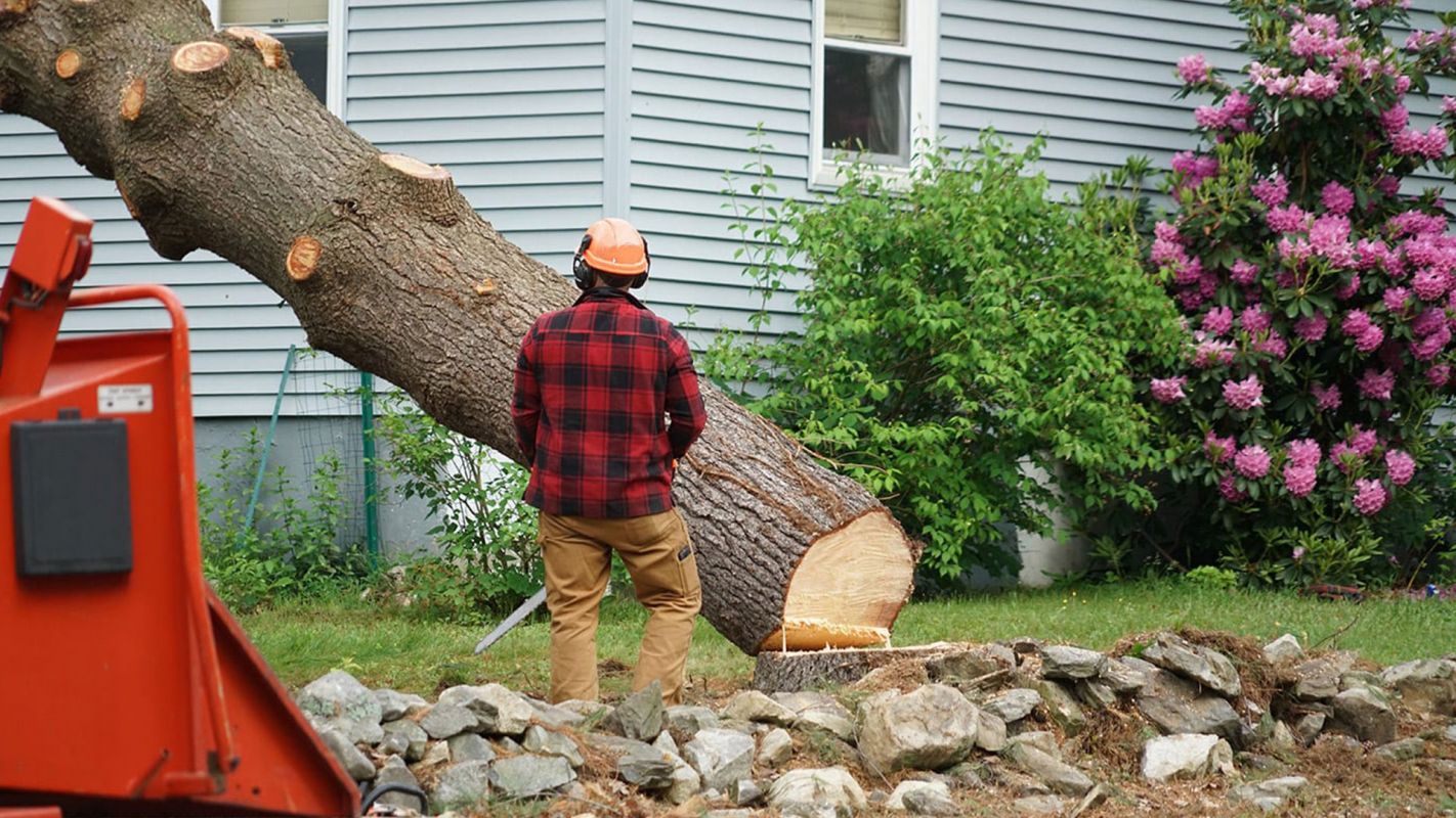 Tree Removal Services Chagrin Falls OH