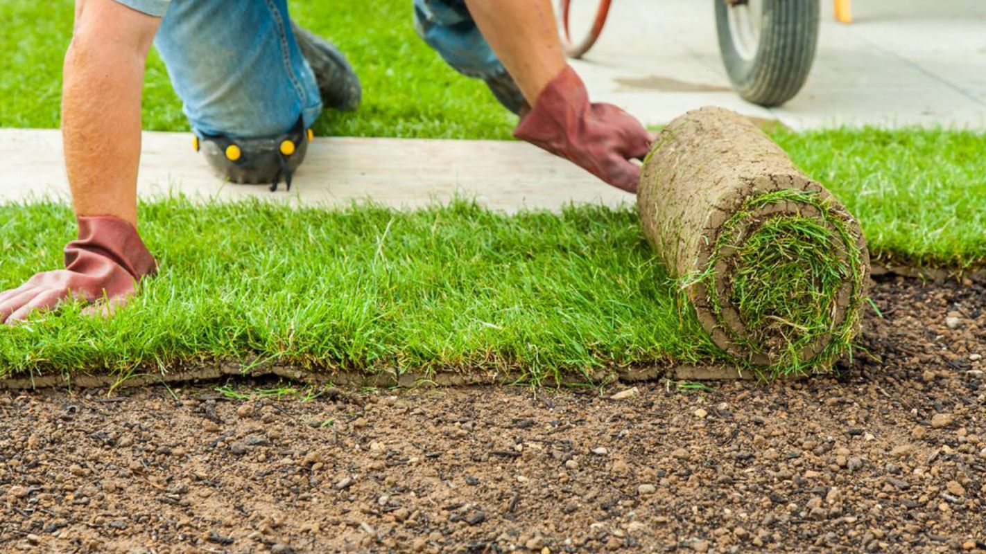 SOD Installation Richmond TX