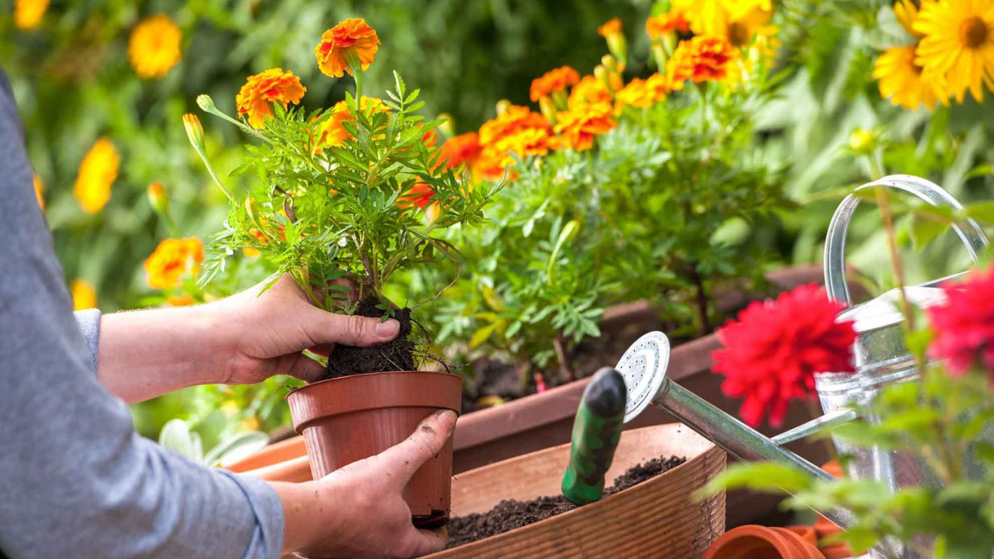 Gardening Services Fresno TX