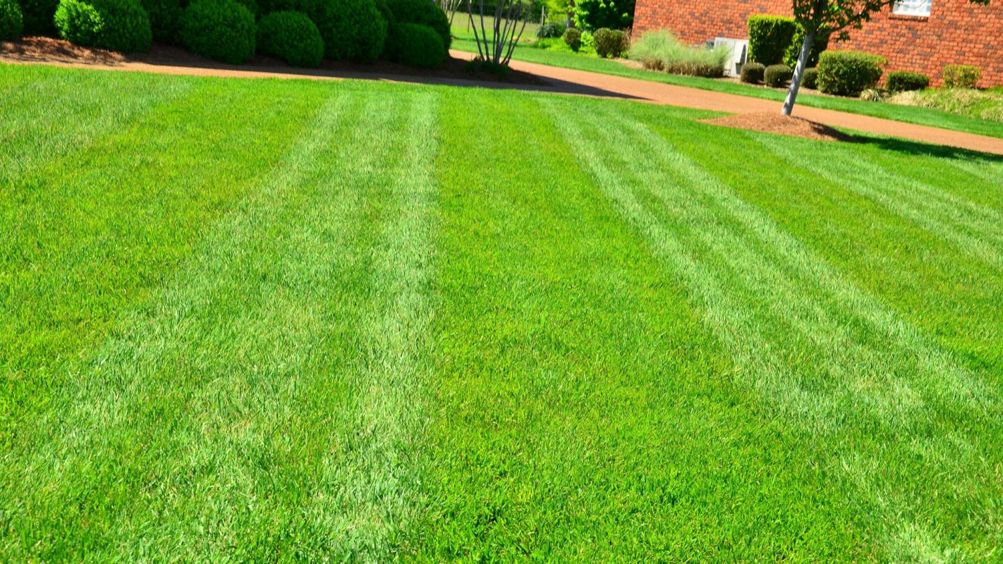 Lawn Maintenance Services Fresno TX