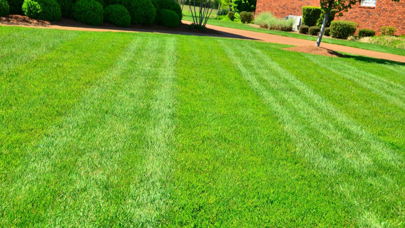 Lawn Maintenance Services Pearland TX