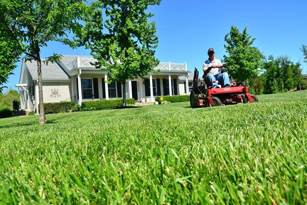Lawn Mowing Company Spanish Fork UT