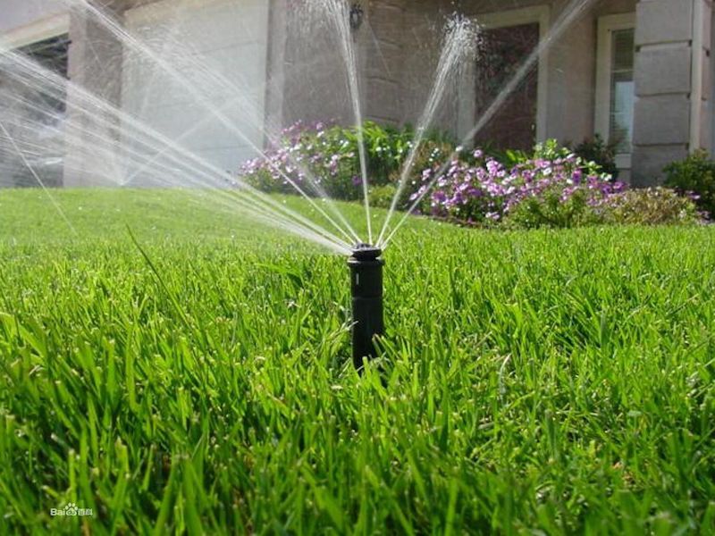 Creating Exceptional Lawns With Professional Lawn Care Services
