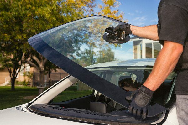 Best Back Glass Replacement Company Plano TX