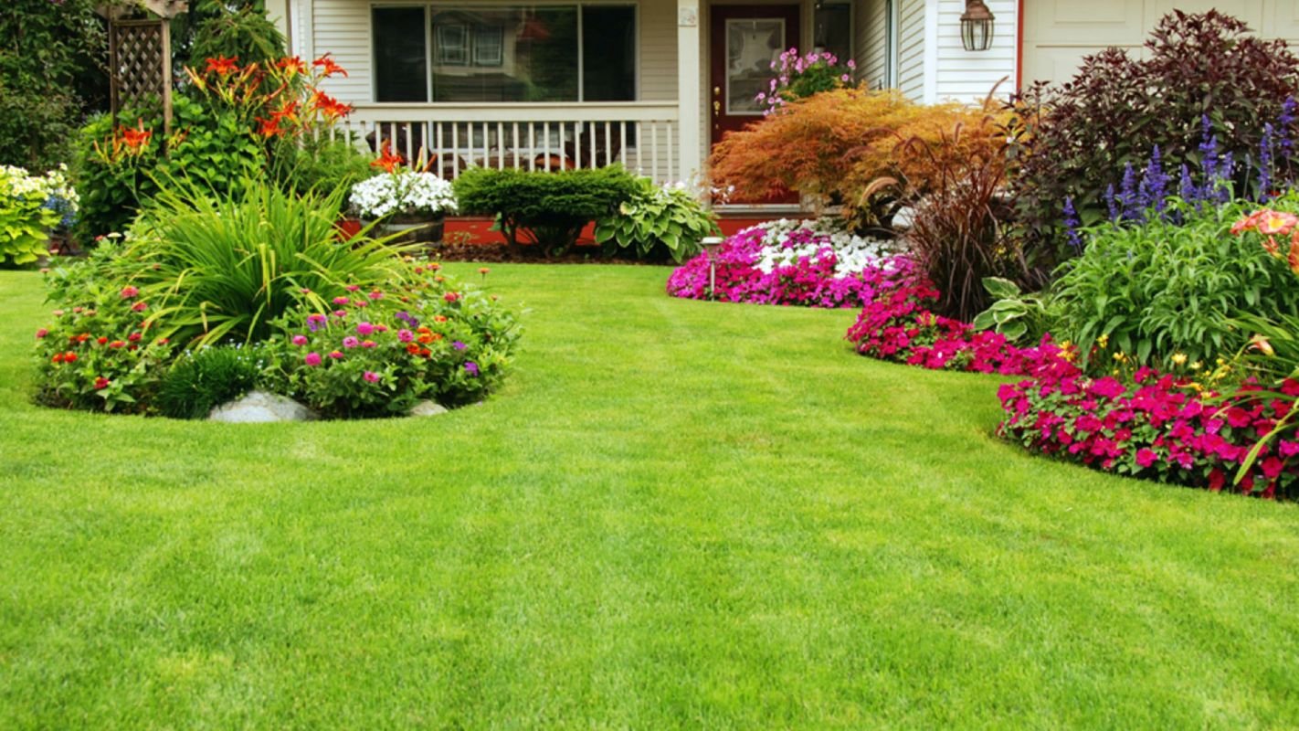 Landscaping Service Friendswood TX