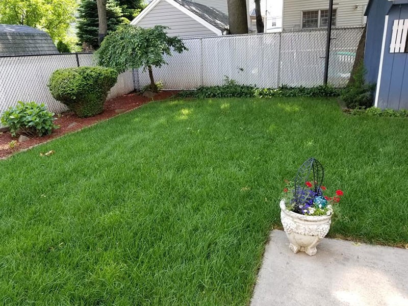 Landscaping Services Bloomfield NJ