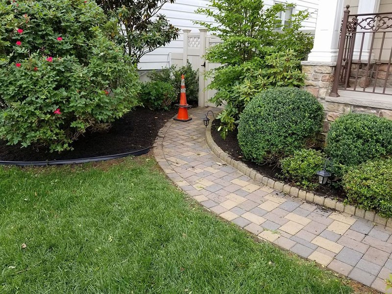 Gardening Service Springfield Township NJ