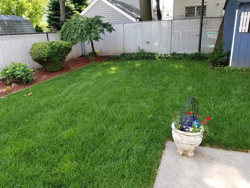 Gardening Service Springfield Township NJ