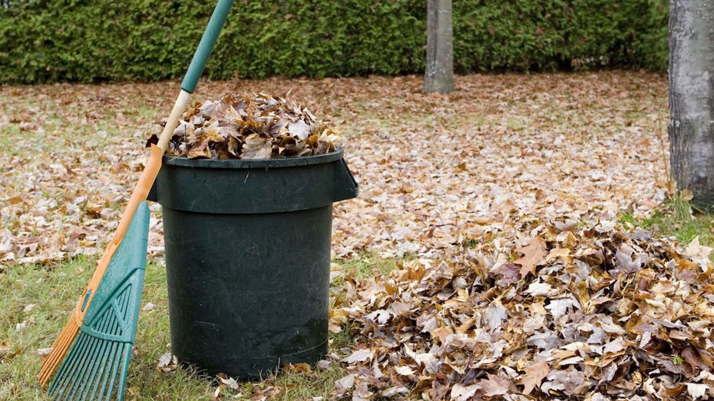 Yard Waste Removal Kissimmee FL