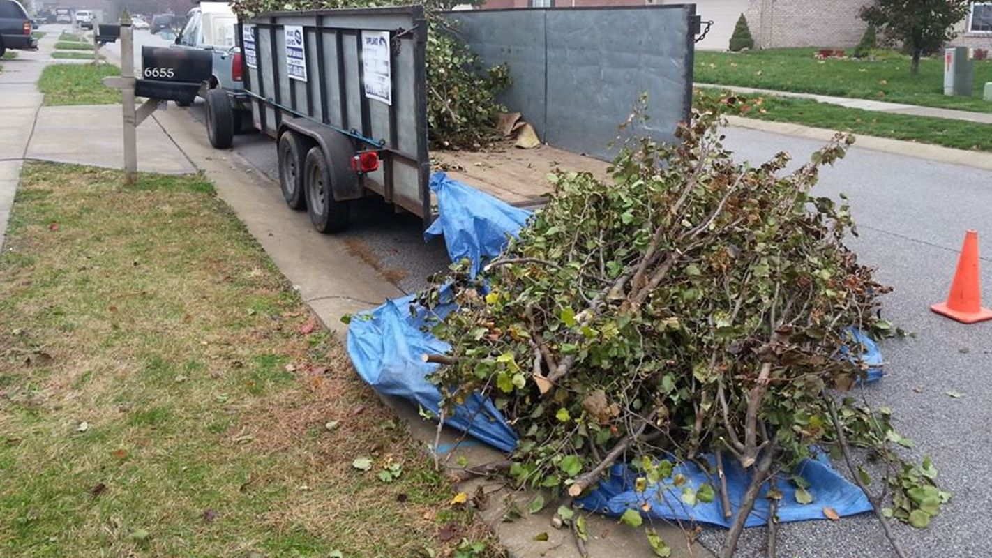 Yard Waste Removal Company Orlando FL