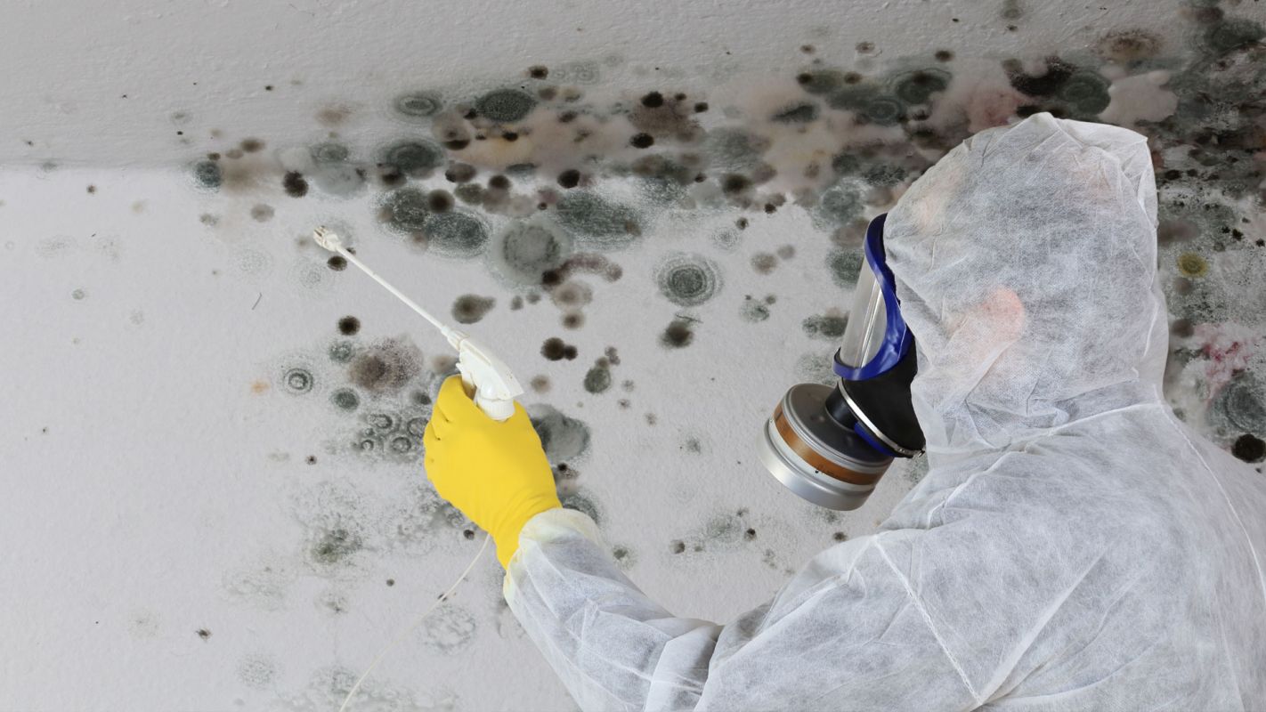 Mold Inspection And Testing Sandy Springs GA