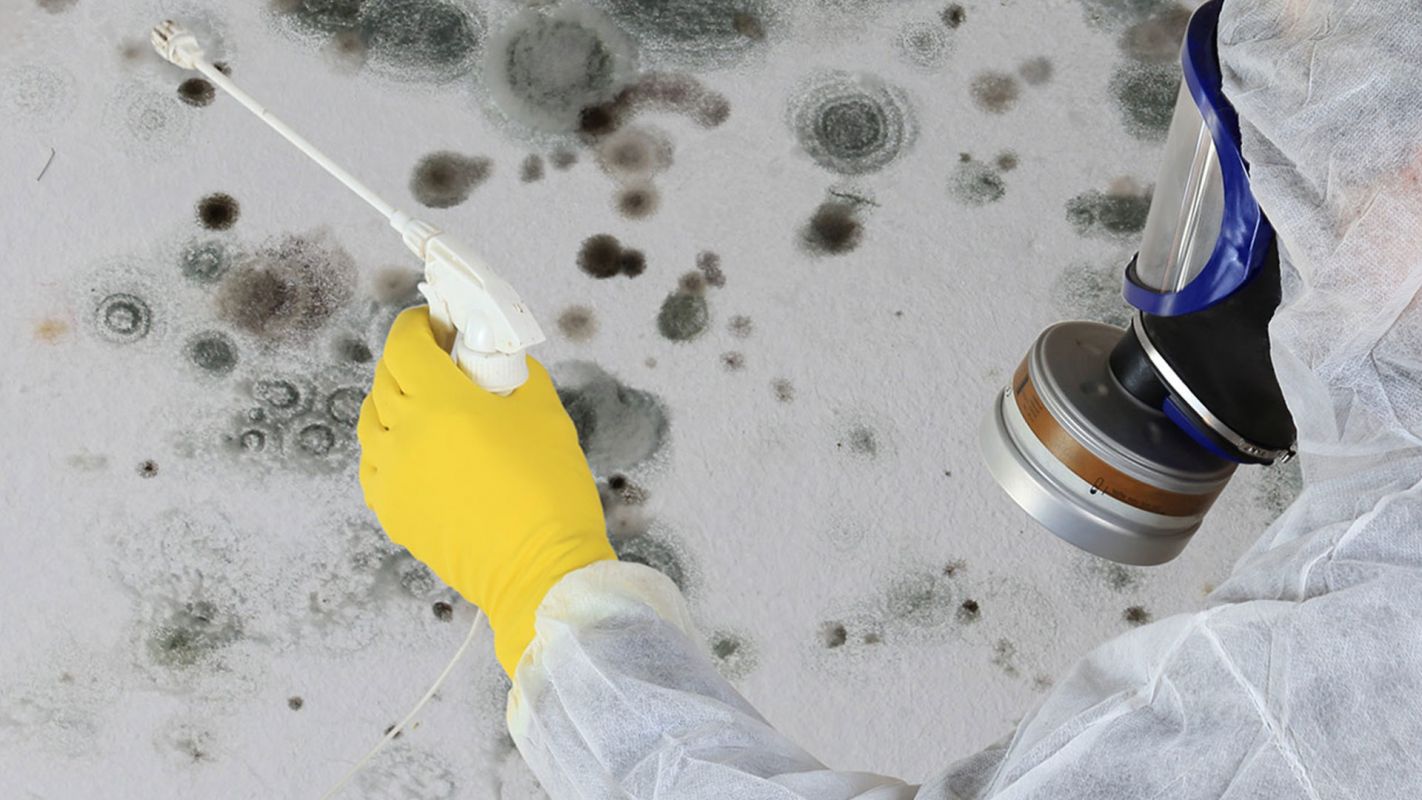 Mold Inspection Services Eastvale CA