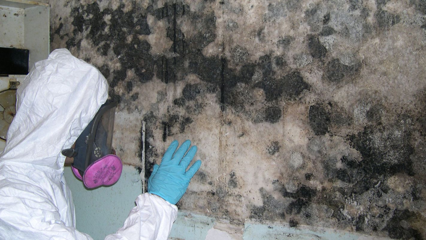 Mold Remediation Upland CA