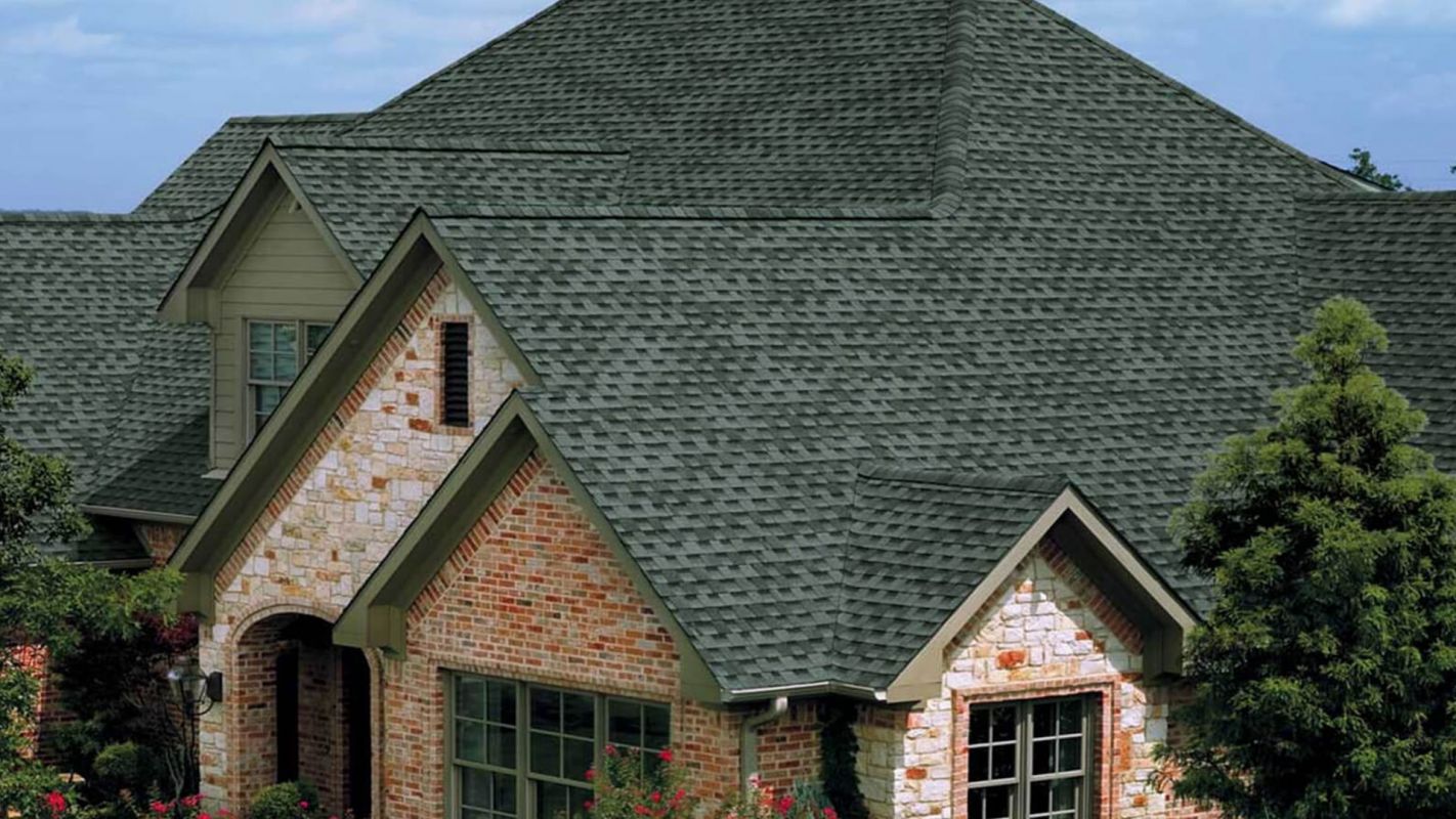 Shingle Roof Replacement Redford Charter Township MI