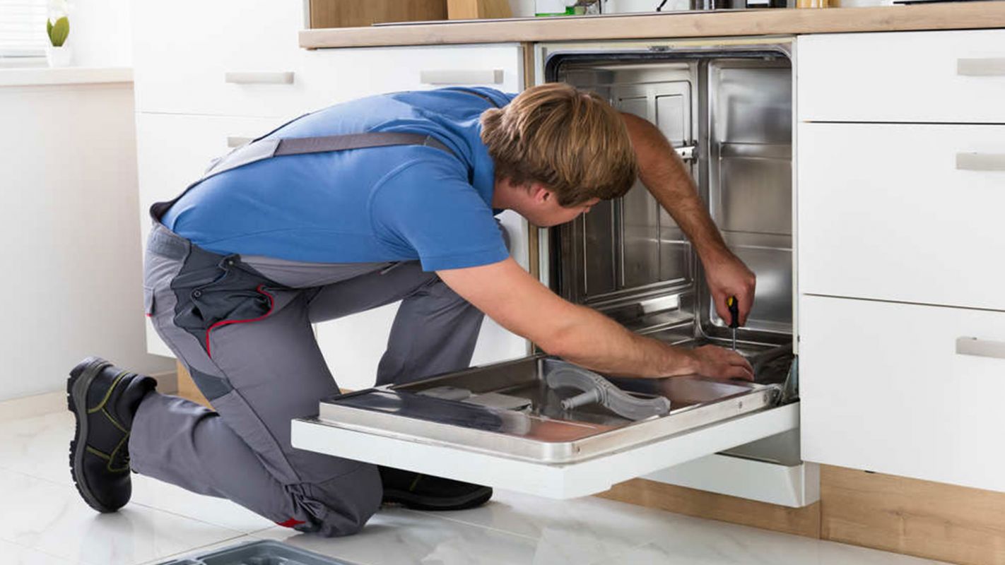 Dishwasher Repair Service El Macero CA