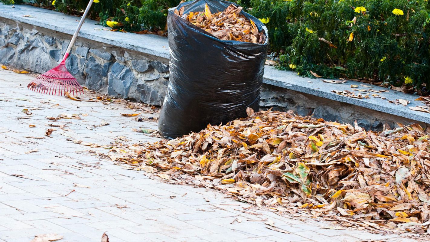 Yard Debris Removal Marietta GA