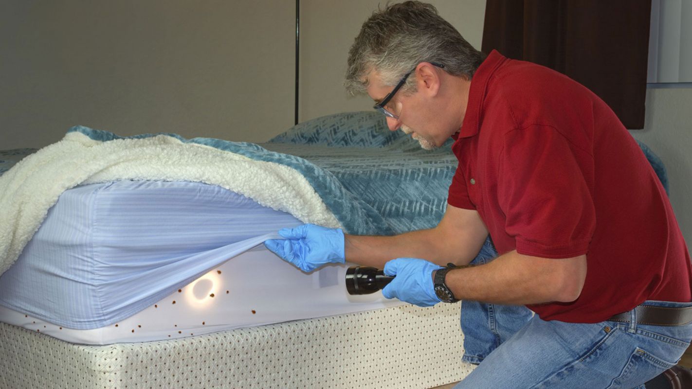 Bed Bugs Control Houston TX