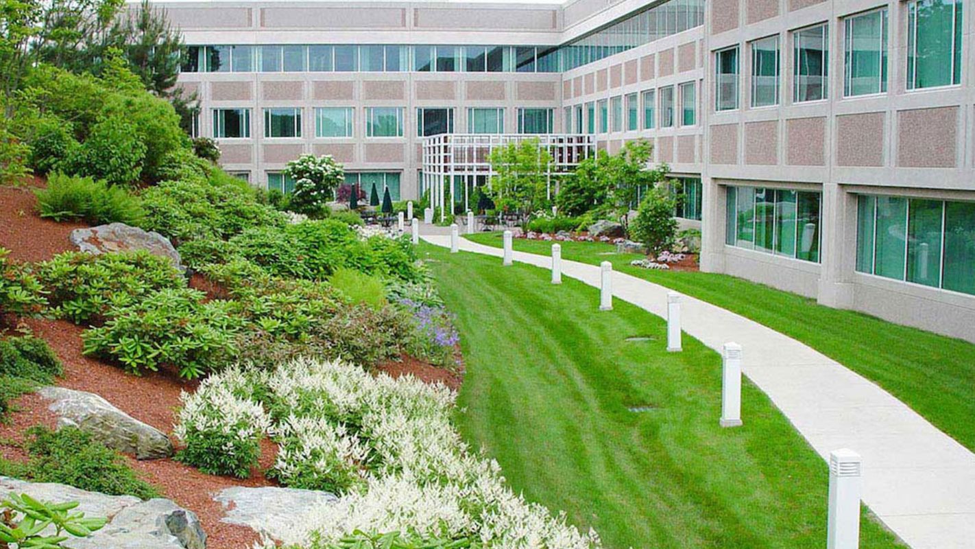 Commercial Landscaping Services Folsom CA