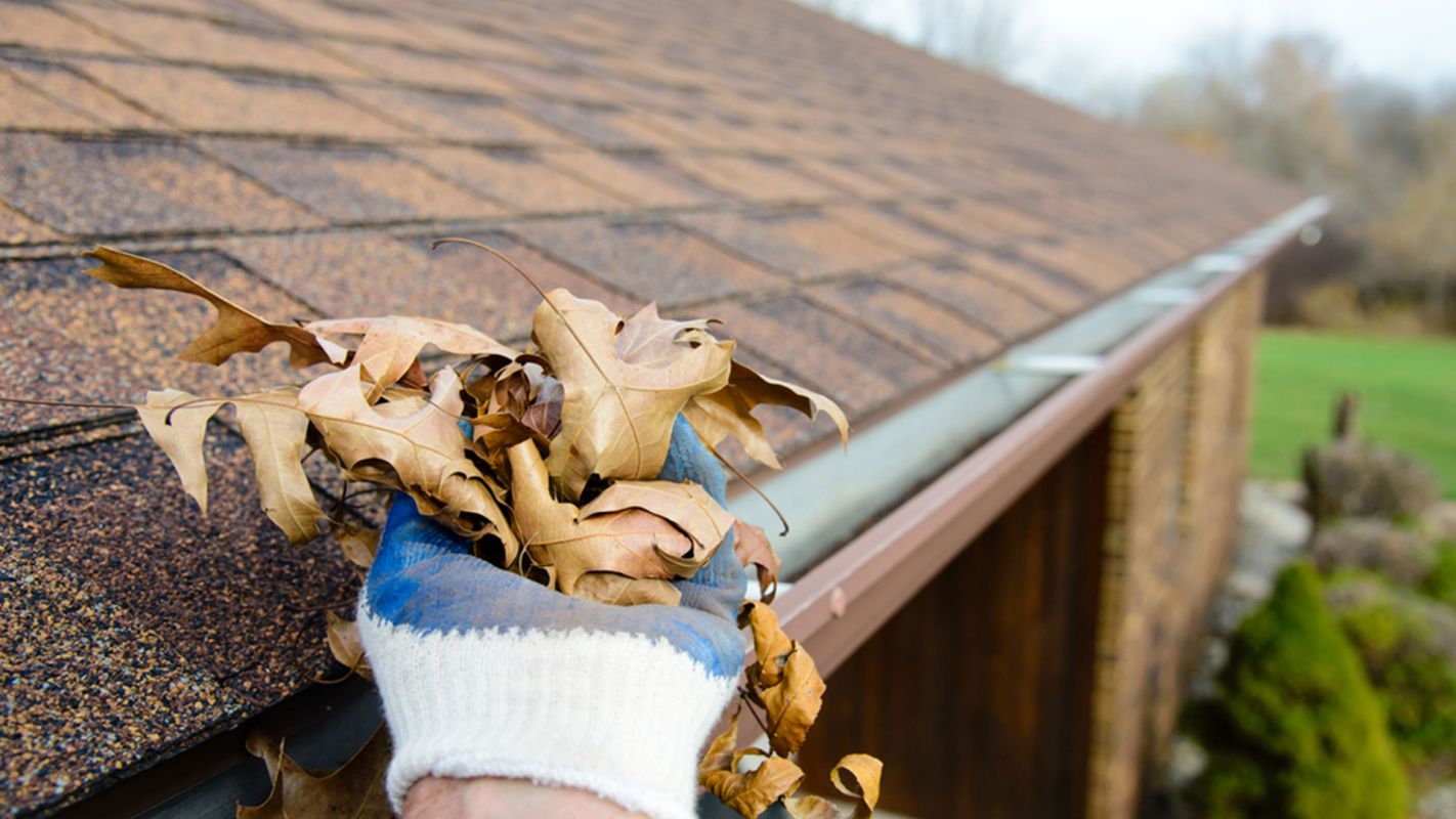 Gutter Cleaning Services Forsyth GA