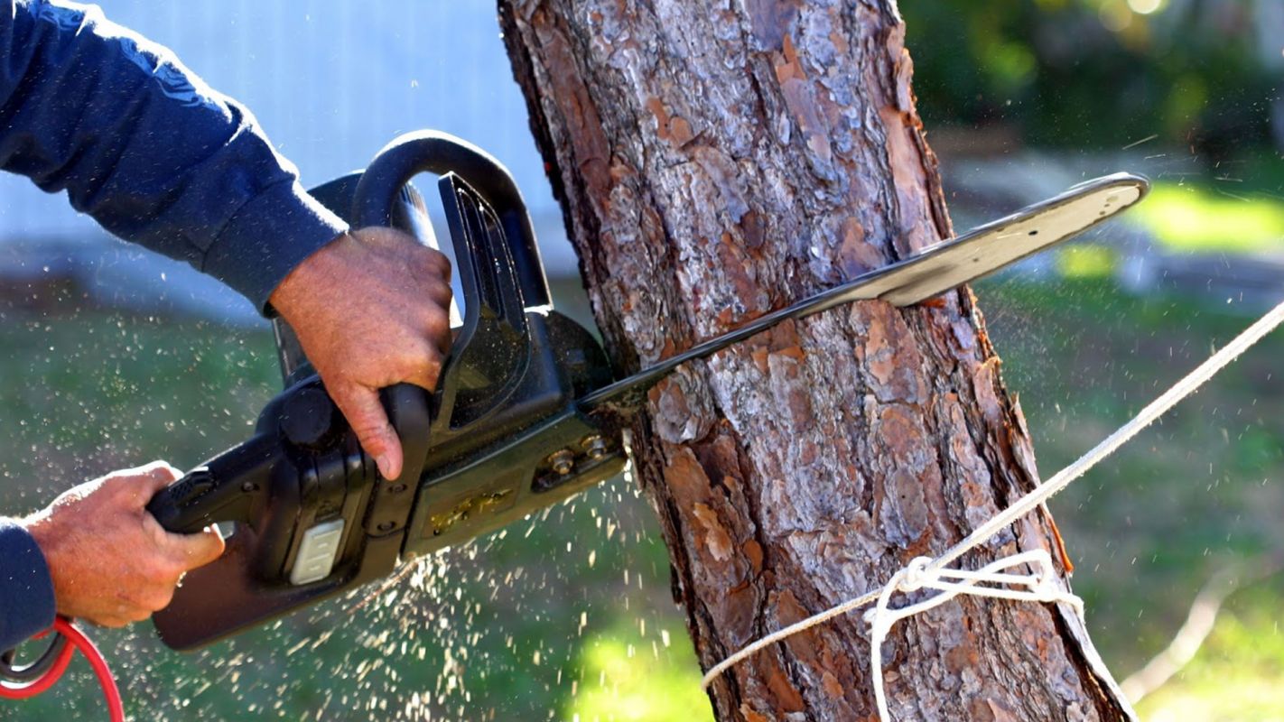 Tree Cutting Service Mountville GA