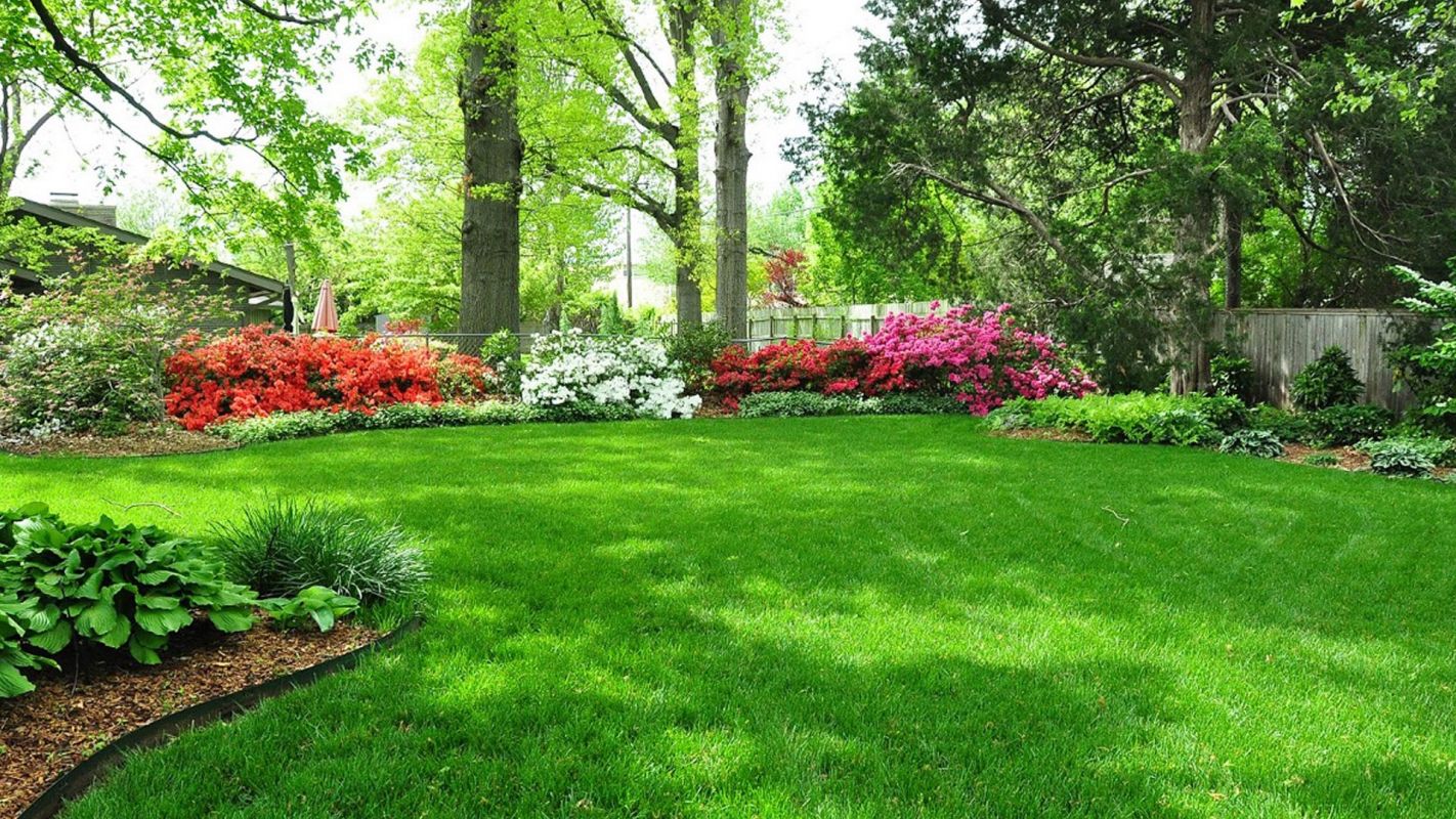 Lawn Maintenance Service Woodfield GA