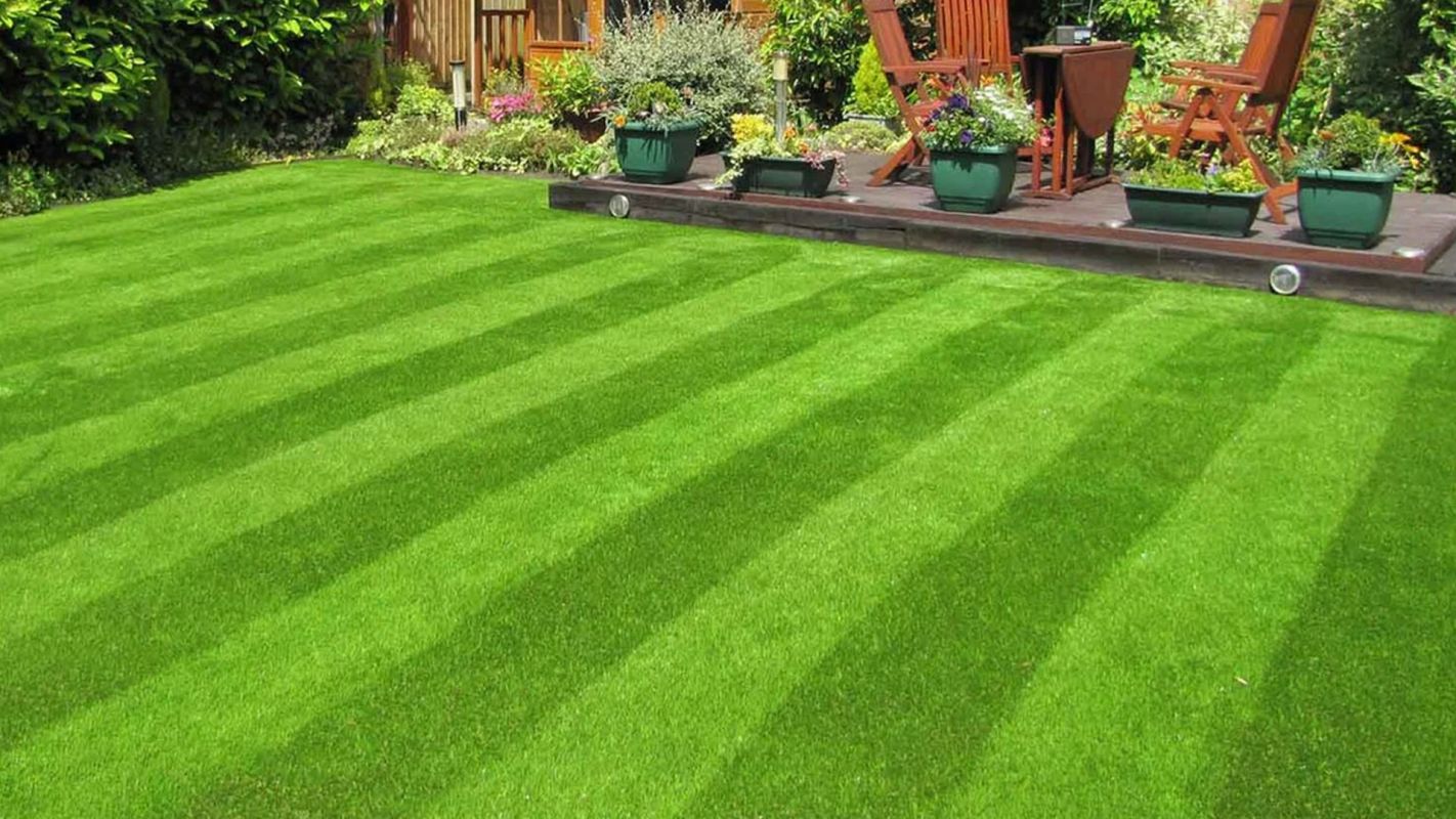 Lawn Care Services Woodfield GA