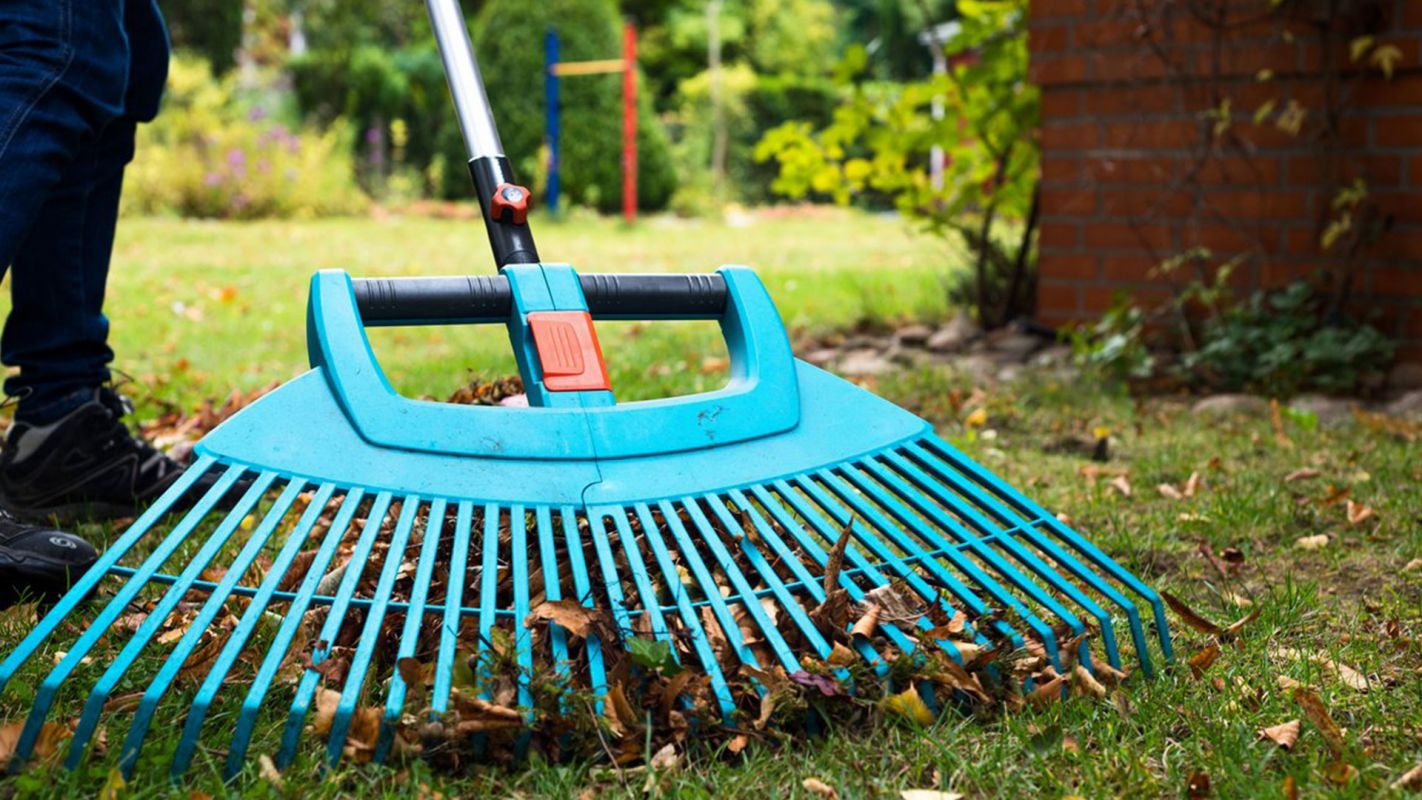 Lawn Cleaning Services Woodfield GA