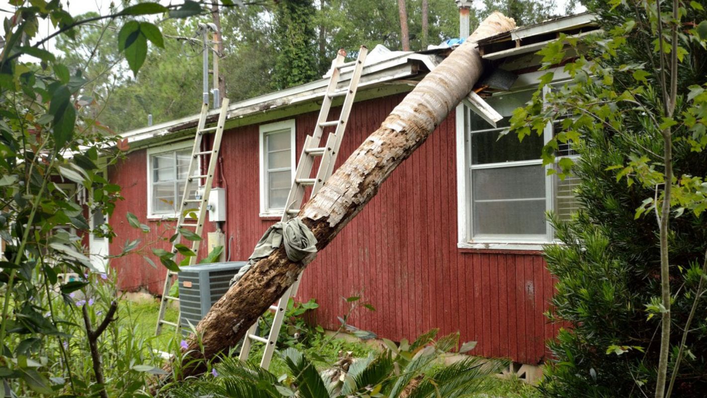 Windstorm Damage Restoration Houston Heights TX