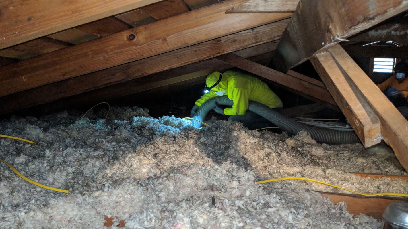 Attic Cleaning Service Torrance CA