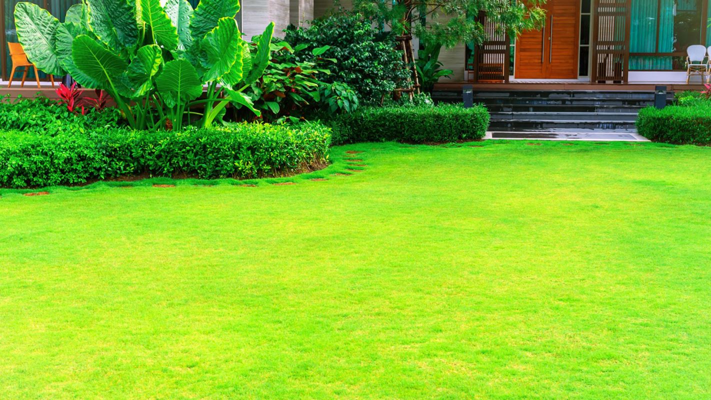 Affordable Lawn Maintenance Darien CT